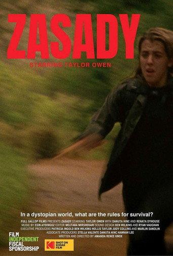 Zasady () poster