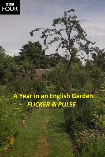 Flicker & Pulse (2016) poster