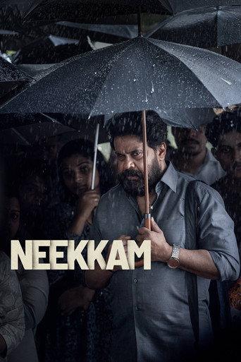 Neekam () poster