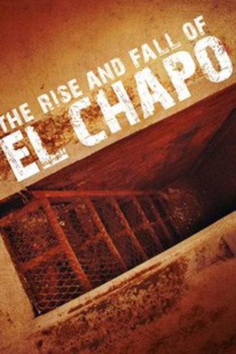 The Rise and Fall of El Chapo (2016) poster