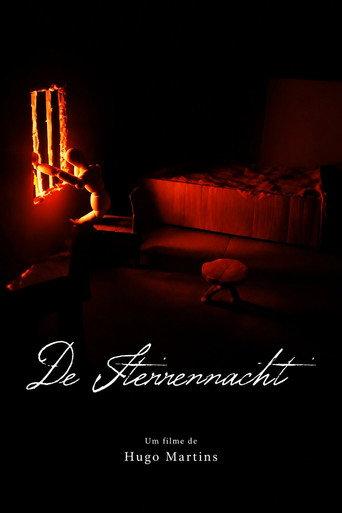 De Sterrennacht (2020) poster