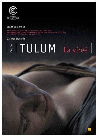 Party (2009) poster