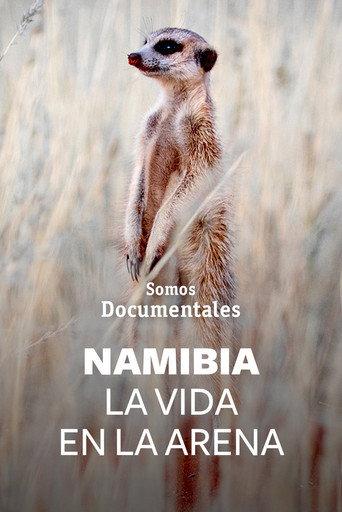 Namibie, la vie des sables (2022) poster