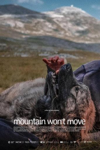 The Mountain Won’t Move (2025) poster