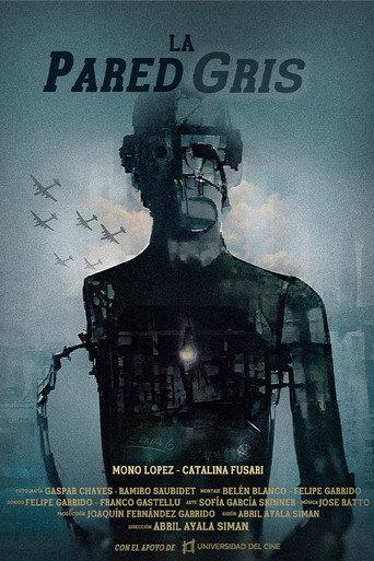La pared gris () poster