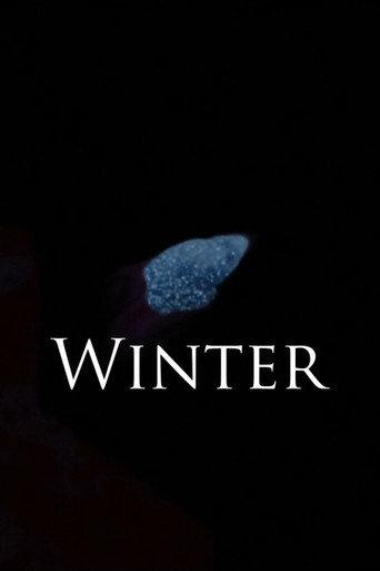 Winter (2020) poster