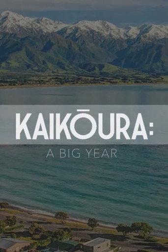 Kaikōura: A Big Year (2018) poster