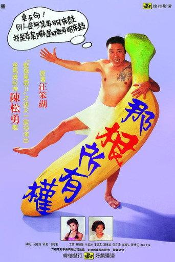 Ownership of Nagen (1991) poster