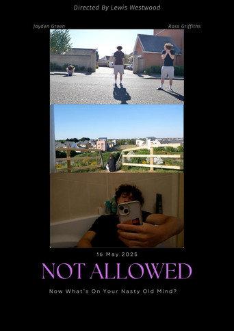 Not Allowed (2026) poster