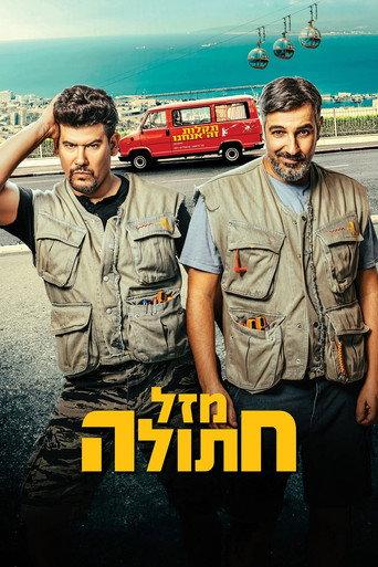 Cat's Luck (2024) poster