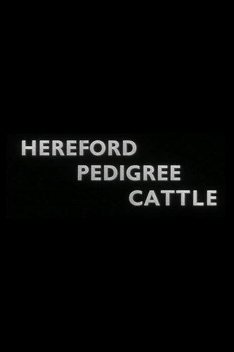 Hereford Pedigree Cattle (1937) poster