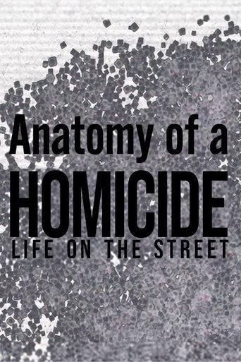 Anatomy of a 'Homicide: Life on the Street' (1998) poster