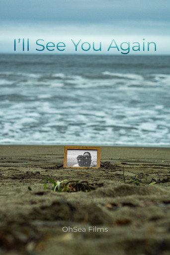 I'll See You Again () poster