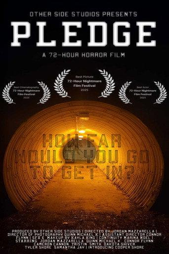 Pledge () poster