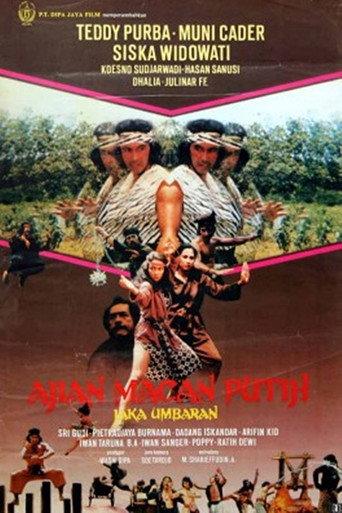 Charm of the White Tiger (1982) poster