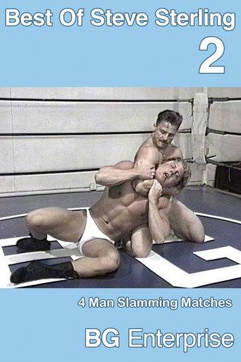 The Best Of Steve Sterling 2 (2006) poster