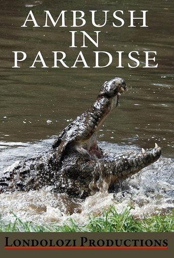 Ambush in Paradise (1999) poster