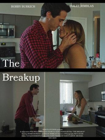 The Breakup () poster