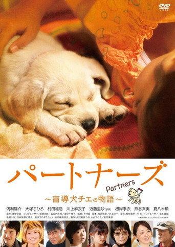 Partners (2010) poster