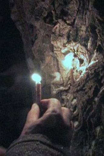 Through the Needles of Coniferous Trees (2012) poster