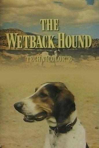 The Wetback Hound (1957) poster
