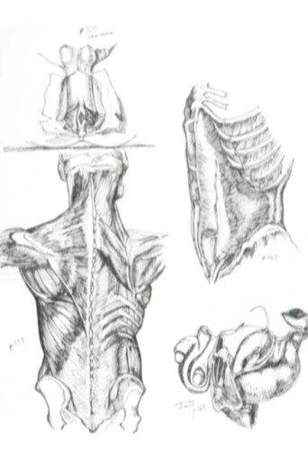 Médicalement (2005) poster