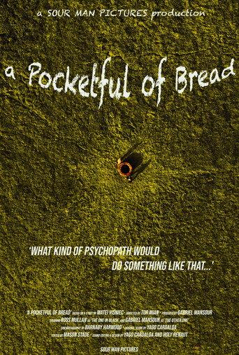 A Pocketful of Bread () poster
