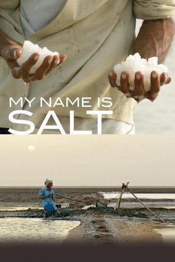 My Name Is Salt (2013) poster