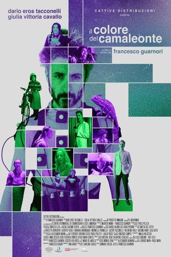 Il colore del camaleonte () poster
