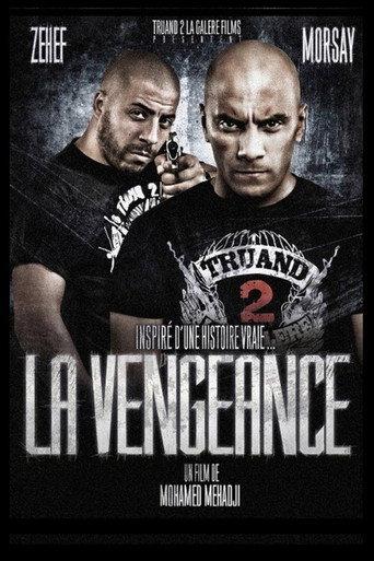 The Vengeance (2011) poster