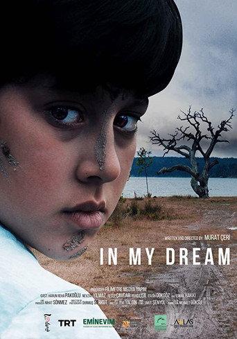 In My Dream (2020) poster