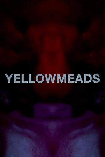 Yellowmeads (2024) poster