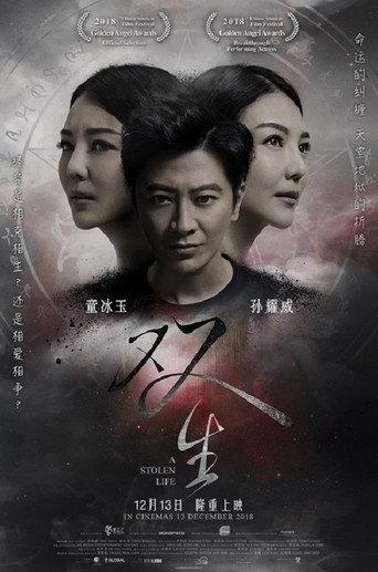 A Stolen Life (2018) poster
