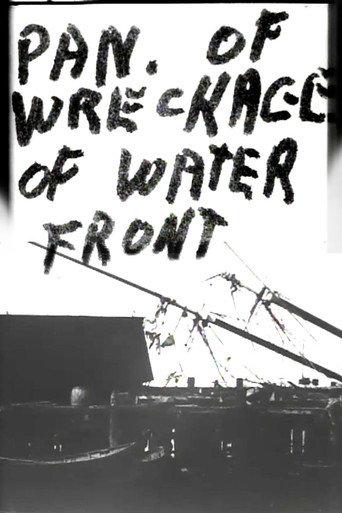 Panorama of Wreckage of Water Front (1900) poster