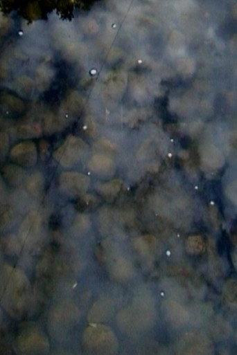 Drops on Marble (2003) poster