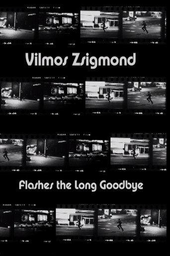 Vilmos Zsigmond Flashes 'The Long Goodbye' (2002) poster