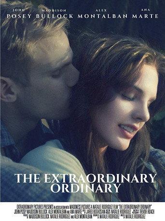 The Extraordinary Ordinary (2019) poster