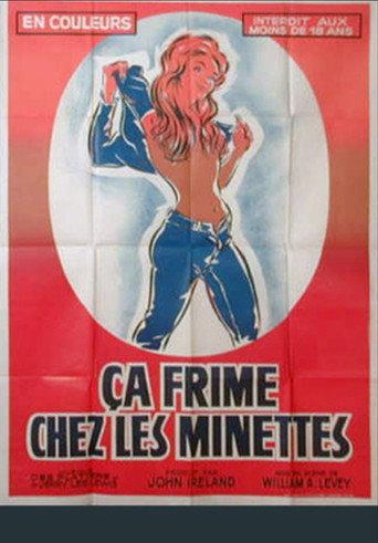 Ça frime chez les minettes (1981) poster