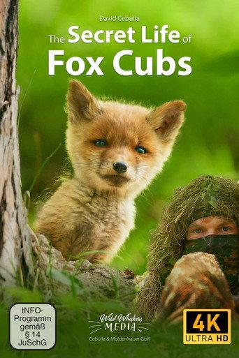 The Secret Life of Fox Cubs (2026) poster