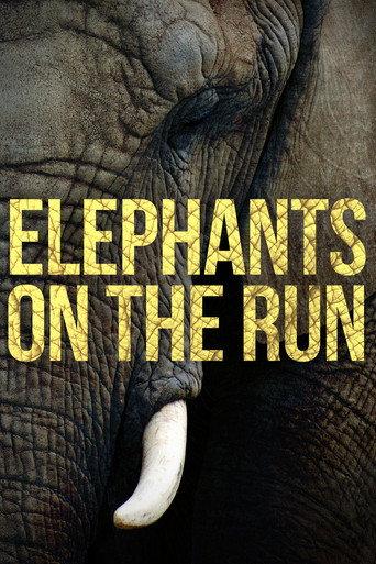 Elephants on the Run () poster