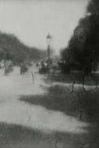 Panoramic View of the Champs Elysees (1900) poster