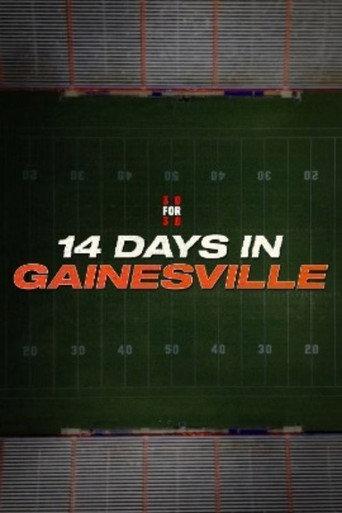 14 Days in Gainesville (2026) poster