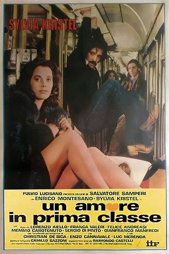 Love in First Class (1980) poster