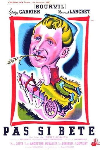 Not So Stupid (1947) poster