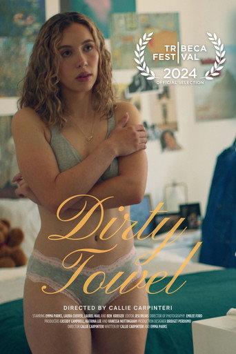 Dirty Towel (2024) poster