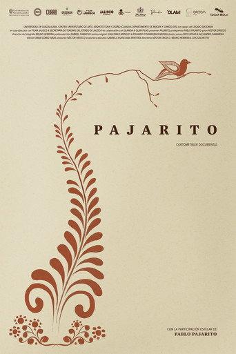 Pajarito () poster