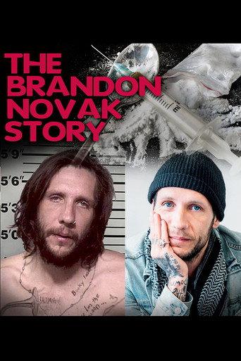 The Brandon Novak Story () poster