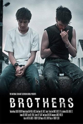 Brothers (2015) poster