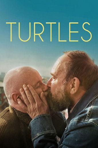 Turtles (2024) poster