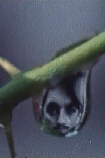 Rites of Spring (1982) poster